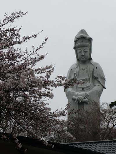 高崎観音と桜