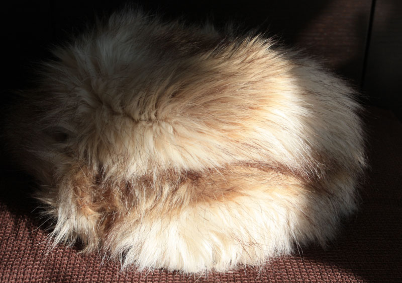 20101226_HandM.jpg